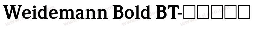 Weidemann Bold BT字体转换